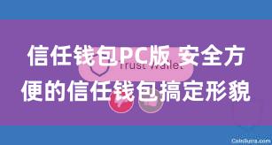 信任钱包PC版 安全方便的信任钱包搞定形貌